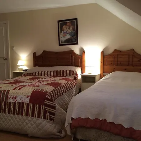 Tynte House Dún Luáin